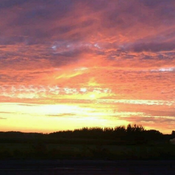 Meet your Posher, Myra - Picture 1 of 1